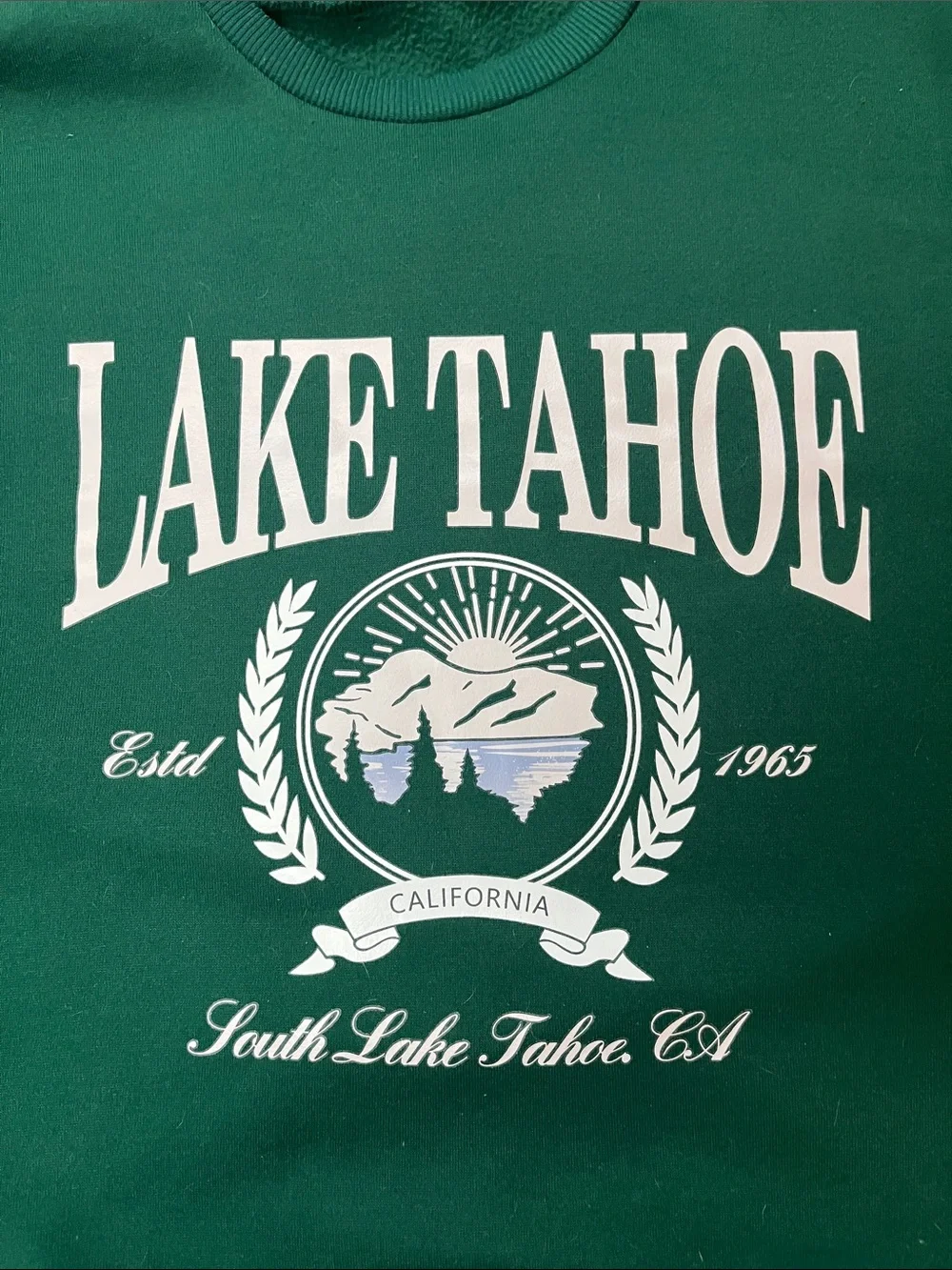 J. Crew Green Lake Tahoe Crewneck Sweatshirt